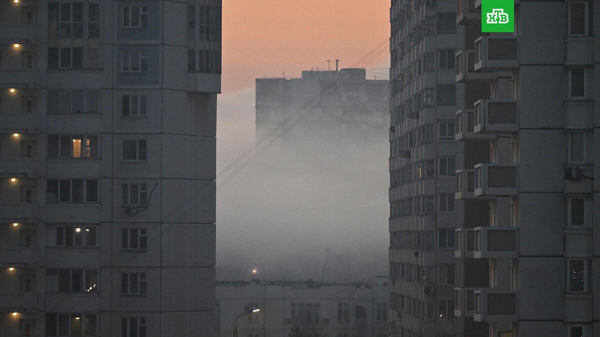    Фото: РИА Новости © 2025, Станислав Красильников