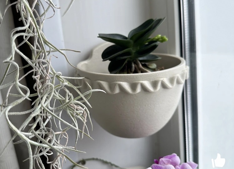 СУПЕР ПОЛЕЗНЫЕ Японские товары с WILDBERRIES🔥