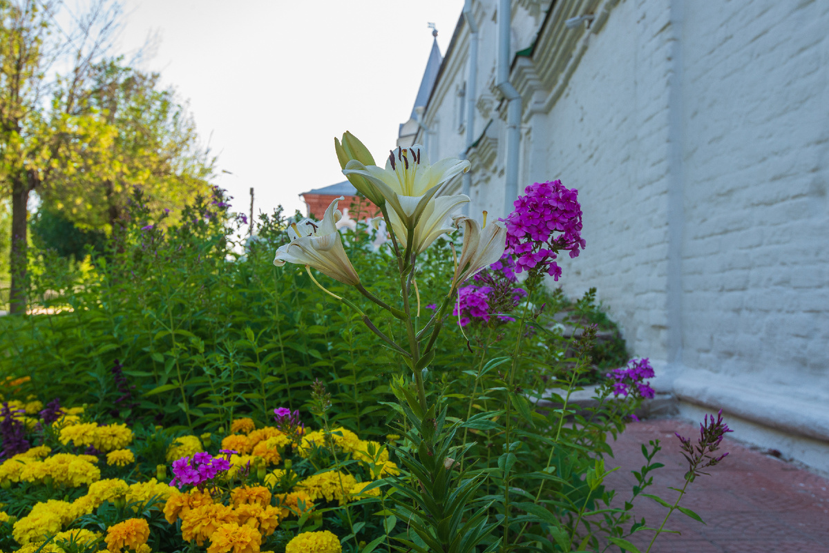 Троицкий монастырь