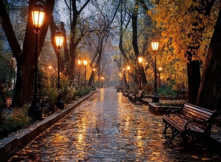 За что так любят Осень!?