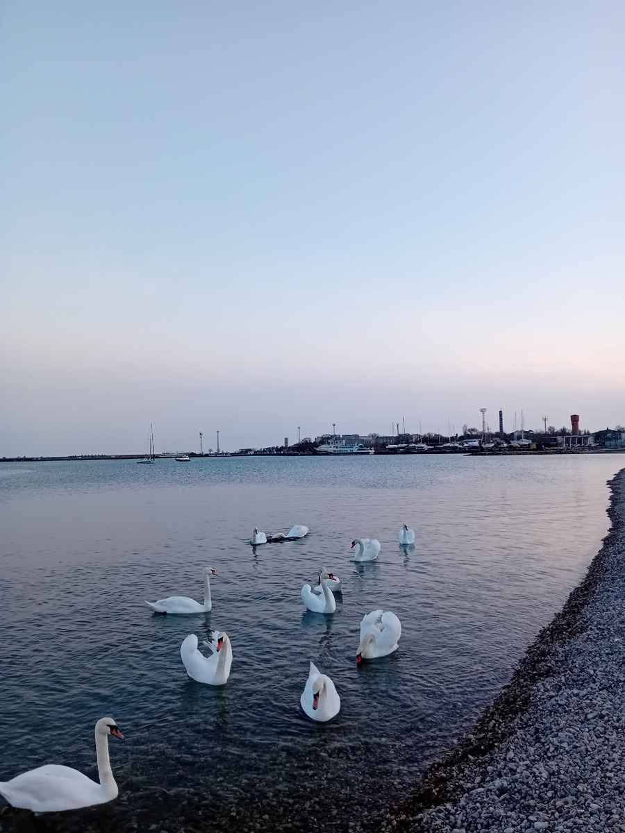 АВТОРСКОЕ ФОТО,