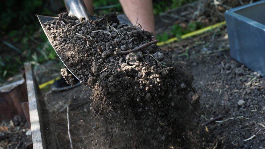    Фото: ИЗВЕСТИЯ/Юлия Майорова