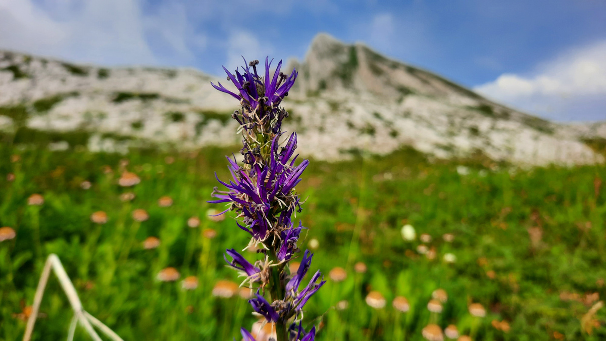 Листай галерею