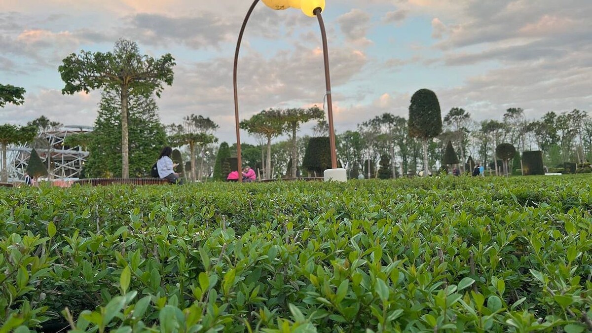    Фото: телеканал «Краснодар»