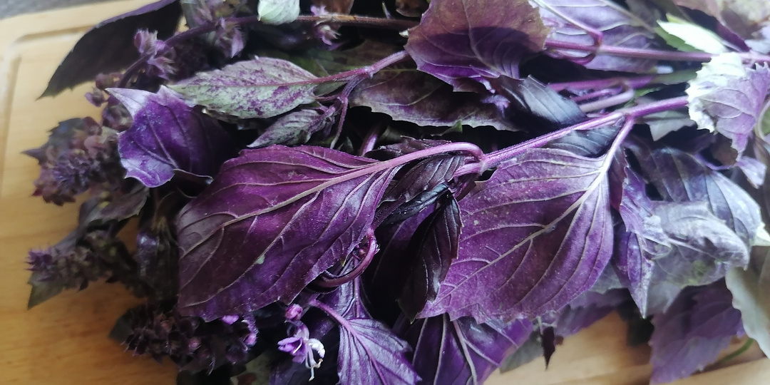 Сами делаем песто