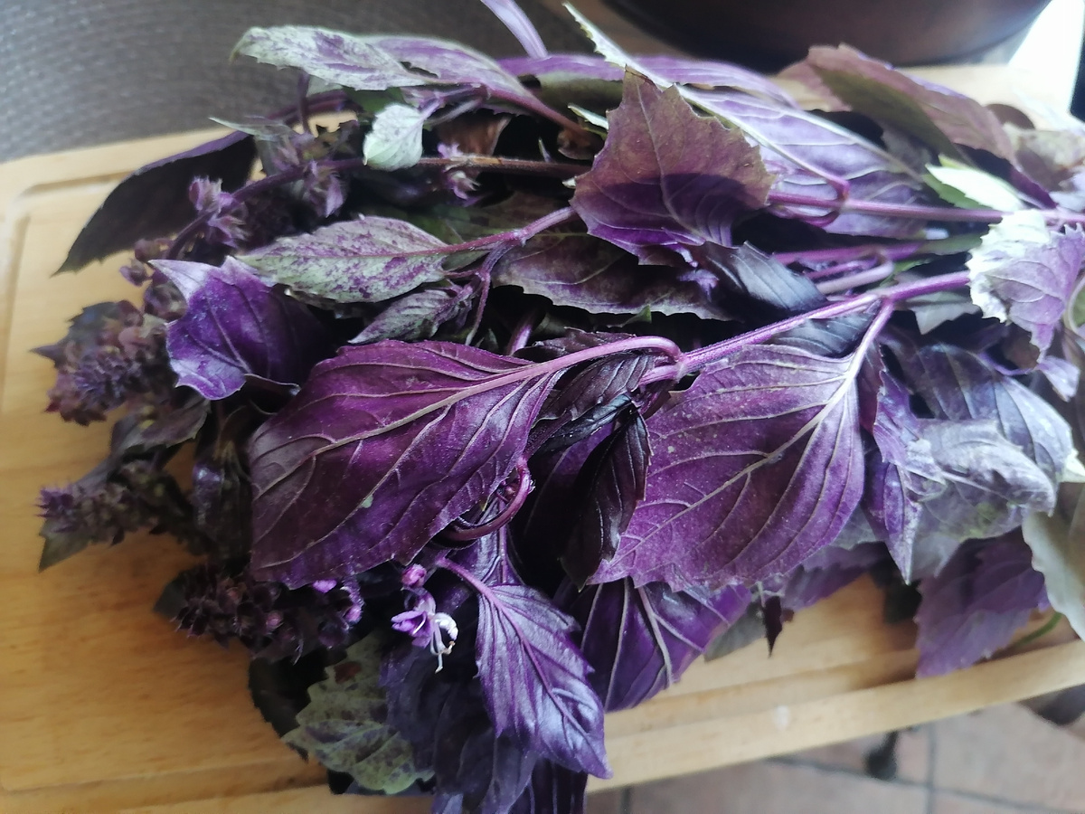 Натюрморт с охапкой фиолетового базилика на деревянной кухонной доске. Фото автора