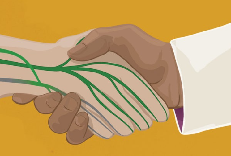 Изображение: Сэм Фэлконер (Sam Falconer)