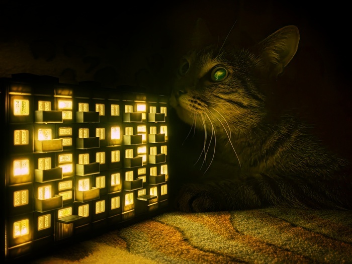 Листайте вправо, чтобы увидеть больше изображений