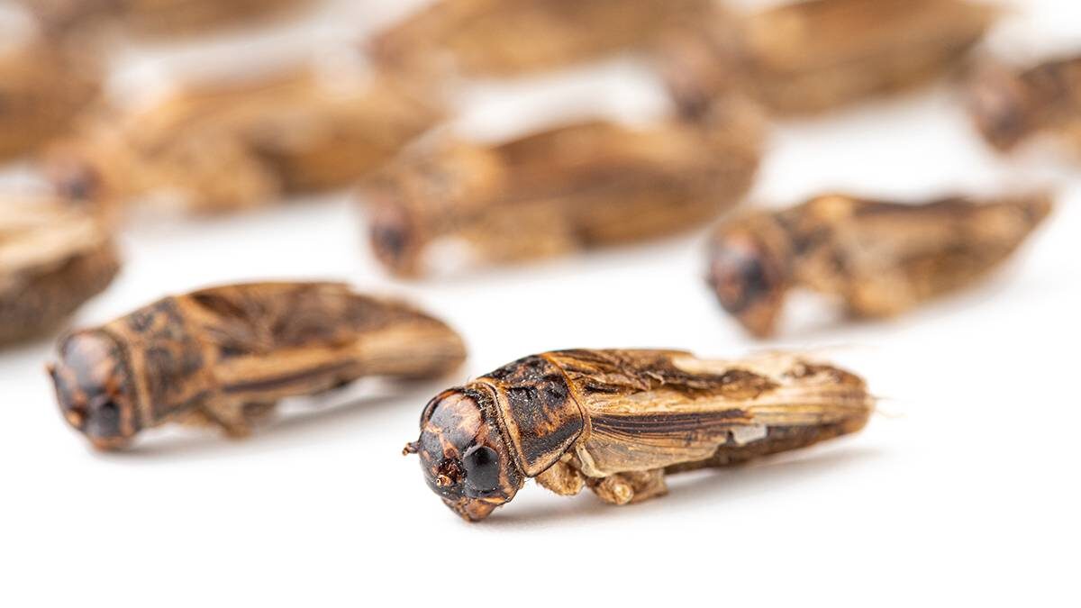    Фото: shutterstock