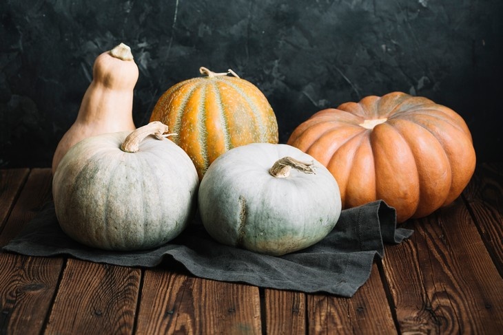    тыква Редакция Газеты