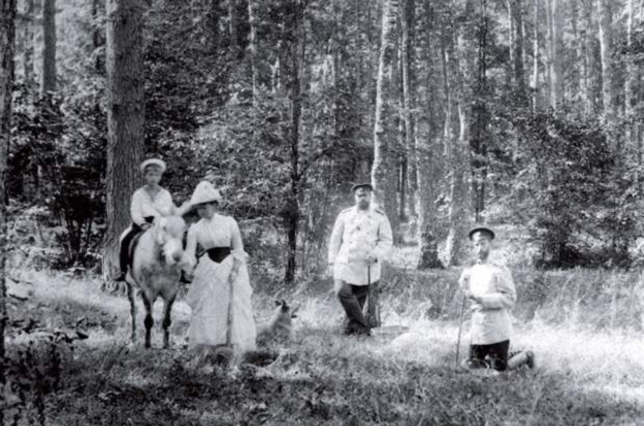 Фото: Император Александр III собирает грибы с братом Сергеем Александровичем, супругой Марией Федоровной и сыном.