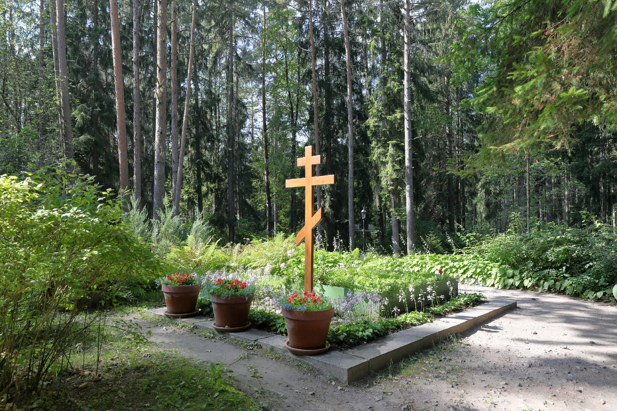 Могила Репина в Пенатах 28 июля 2025 года