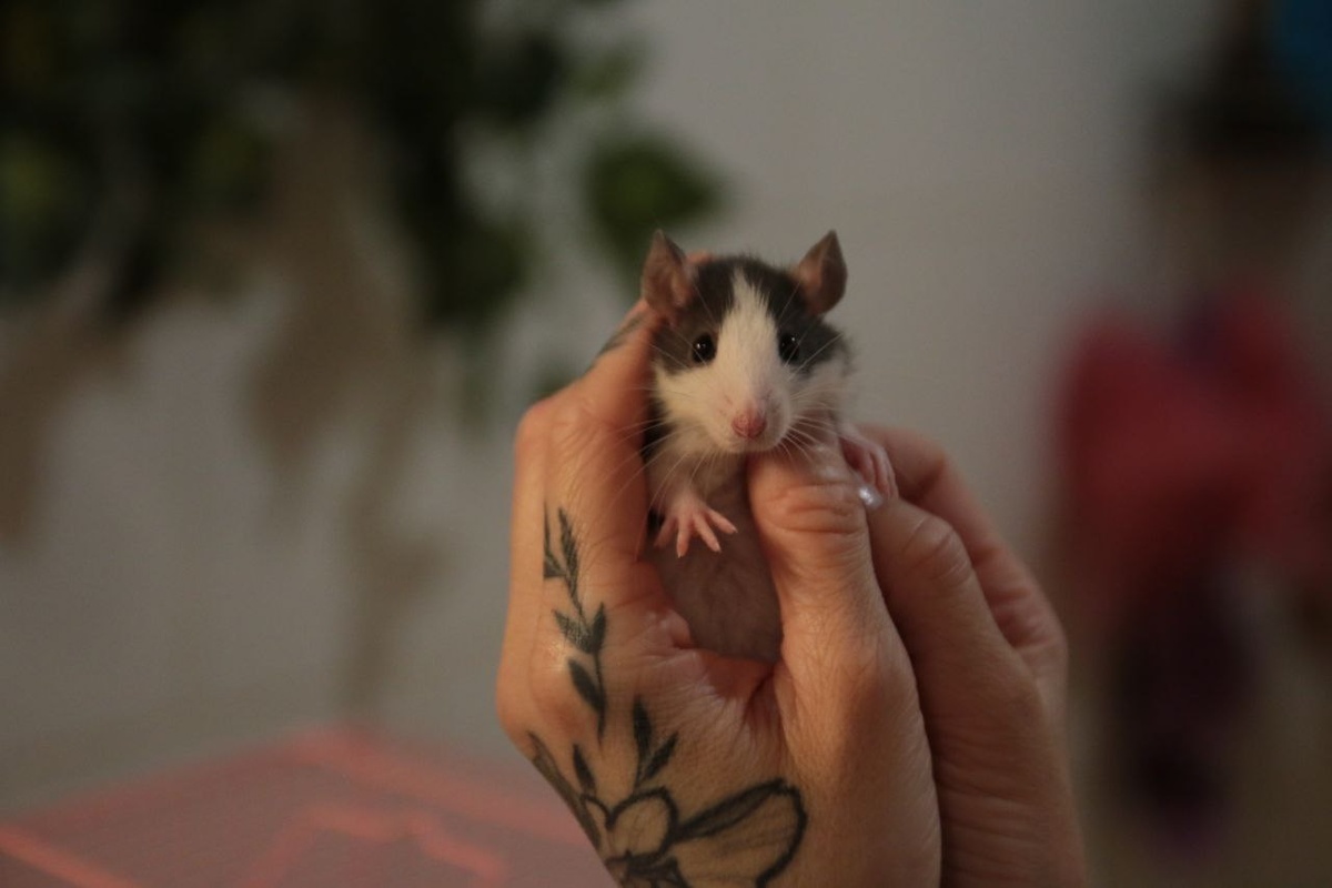 Малышу 1 месяц