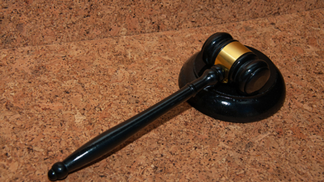    Svetlana Vozmilova/Globallookpress