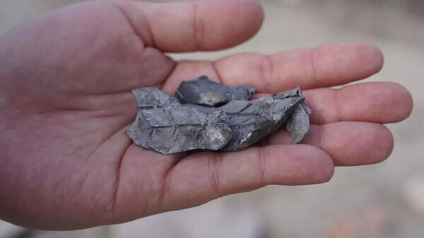    © РИА Новости