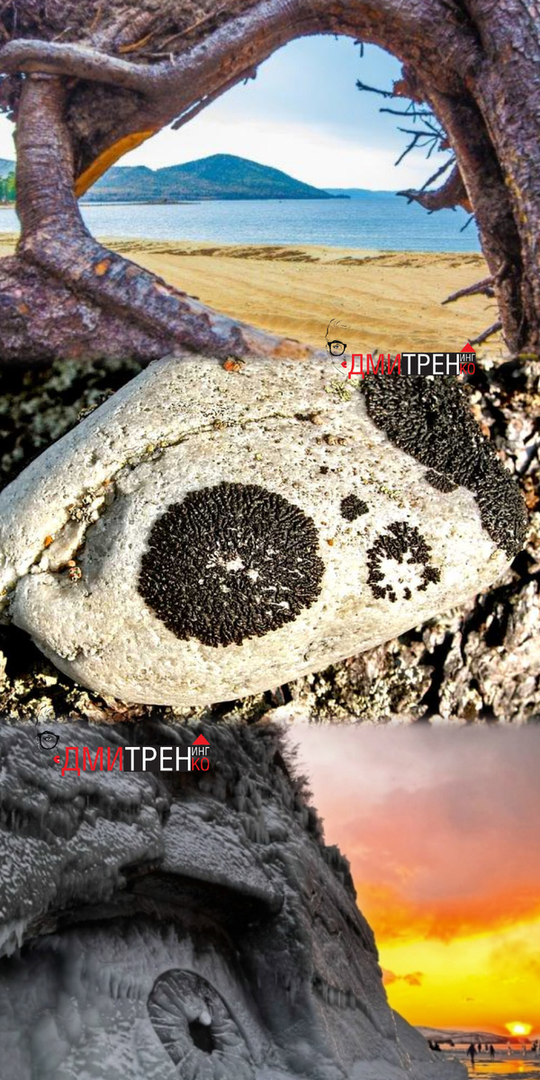 Три фото из интернета