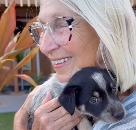 Бабушка услышала писк щенков и обнаружила их под деревянным настилом 🐕