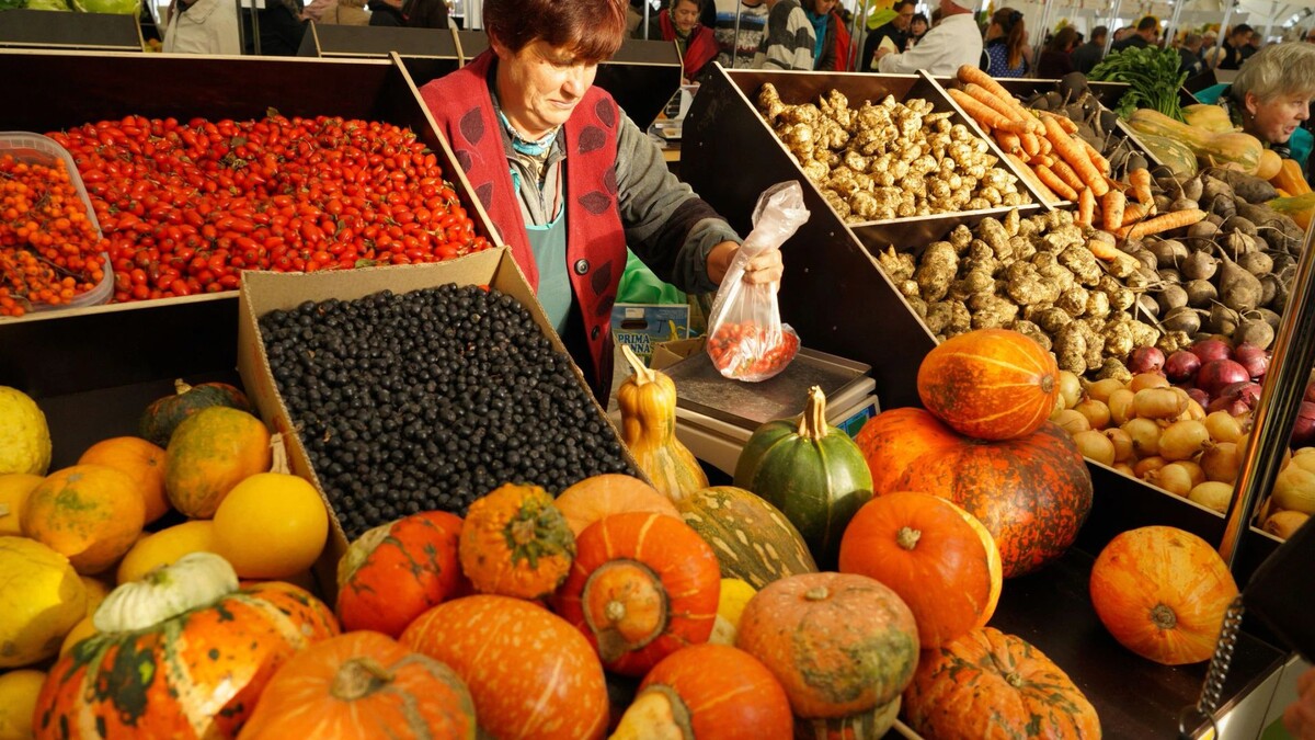    Фото: Igor Stomakhin/Shutterstock/Fotodom