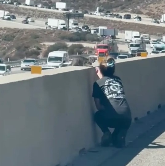 Бездомный котенок сидел на бетонной разделительной полосе на шоссе и отчаянно старался не погибнуть под колесами машин 😓