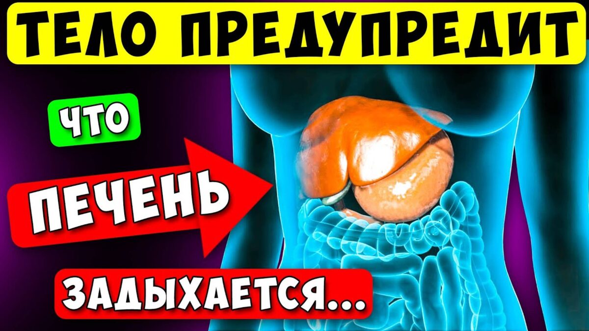 4 сигнала организма о проблемах с печенью