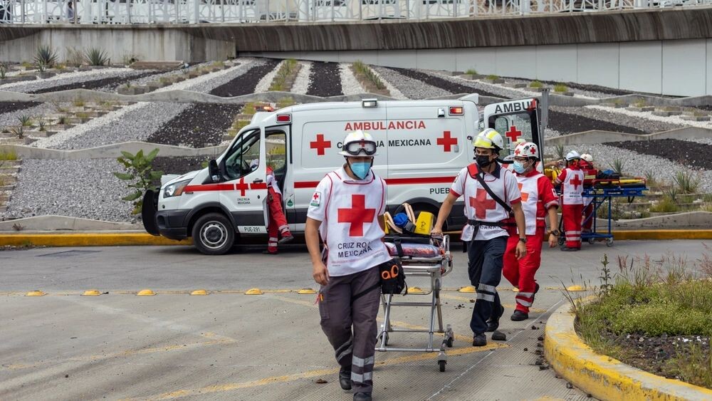    Фото: Alejandro_Munoz/Shutterstock/Fotodom