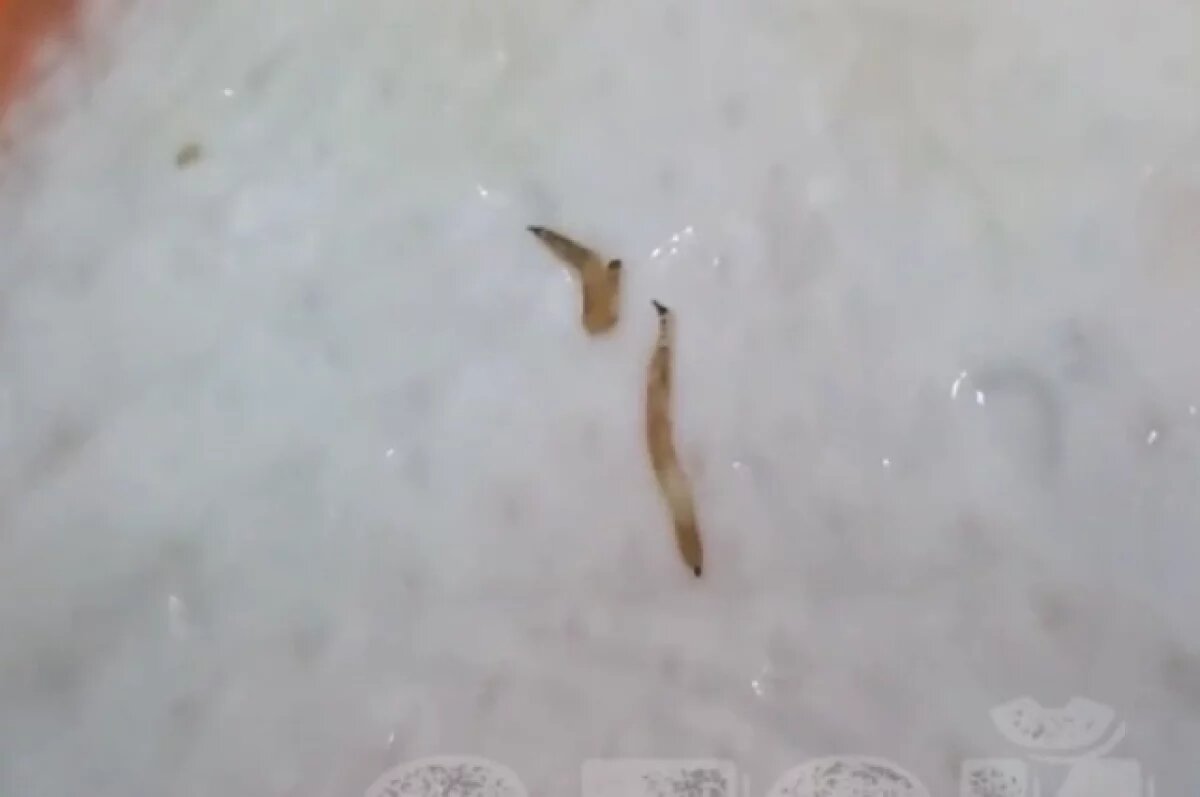    Курица с червями «по акции» возмутила жителя Петропавловска