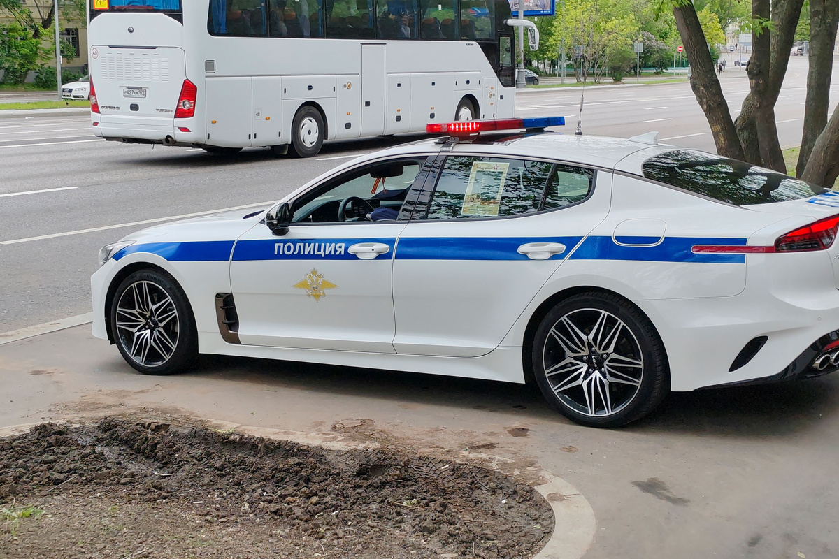 Полиция возбудила дело после массовой драки у кафе во Владивостоке.  Фото: Фото: ФедералПресс / Денис Коробейников