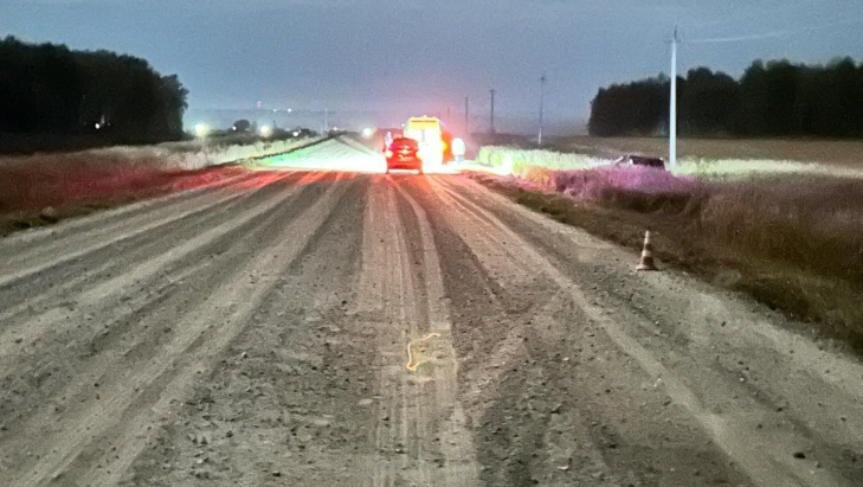    Фото - ГАИ по Новосибирской области