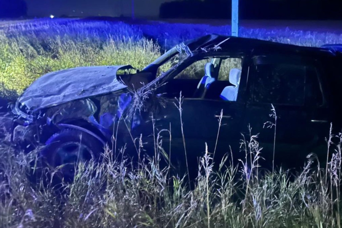    Фото: ГАИ НСО