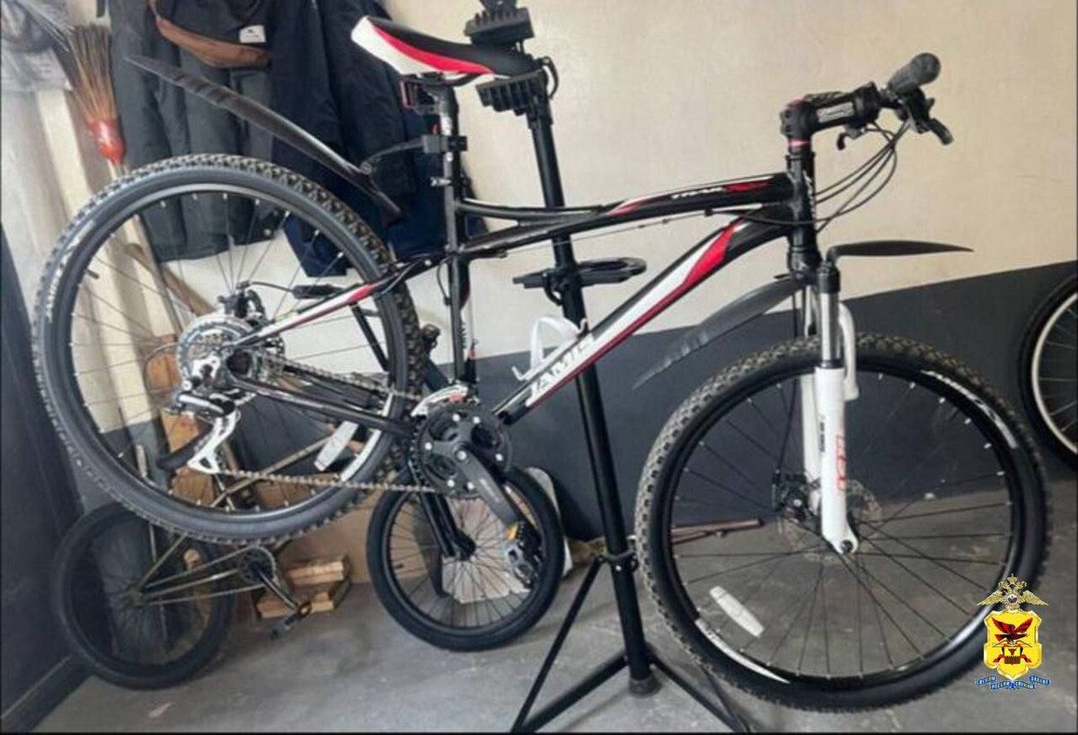    Фото: Пресс-служба УМВД России по Забайкальскому краю