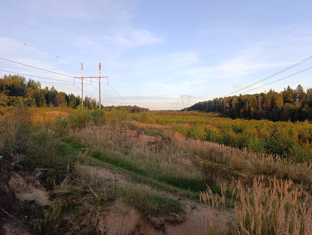 Фото Алексея Колобка 