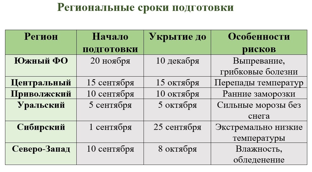 Таблица. График работ по ФО