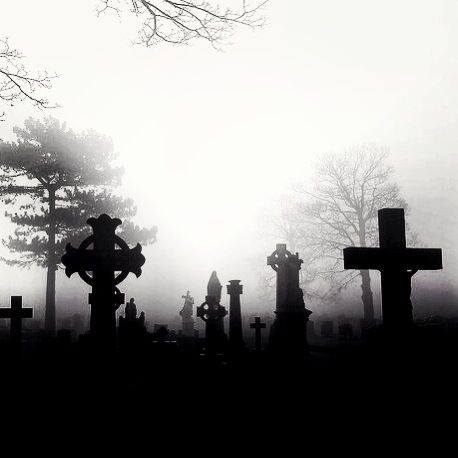 Изображение взято из открытых источников интернета. 