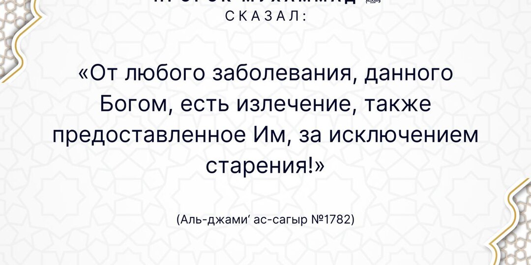 Пророк Мухаммад ﷺ сказал