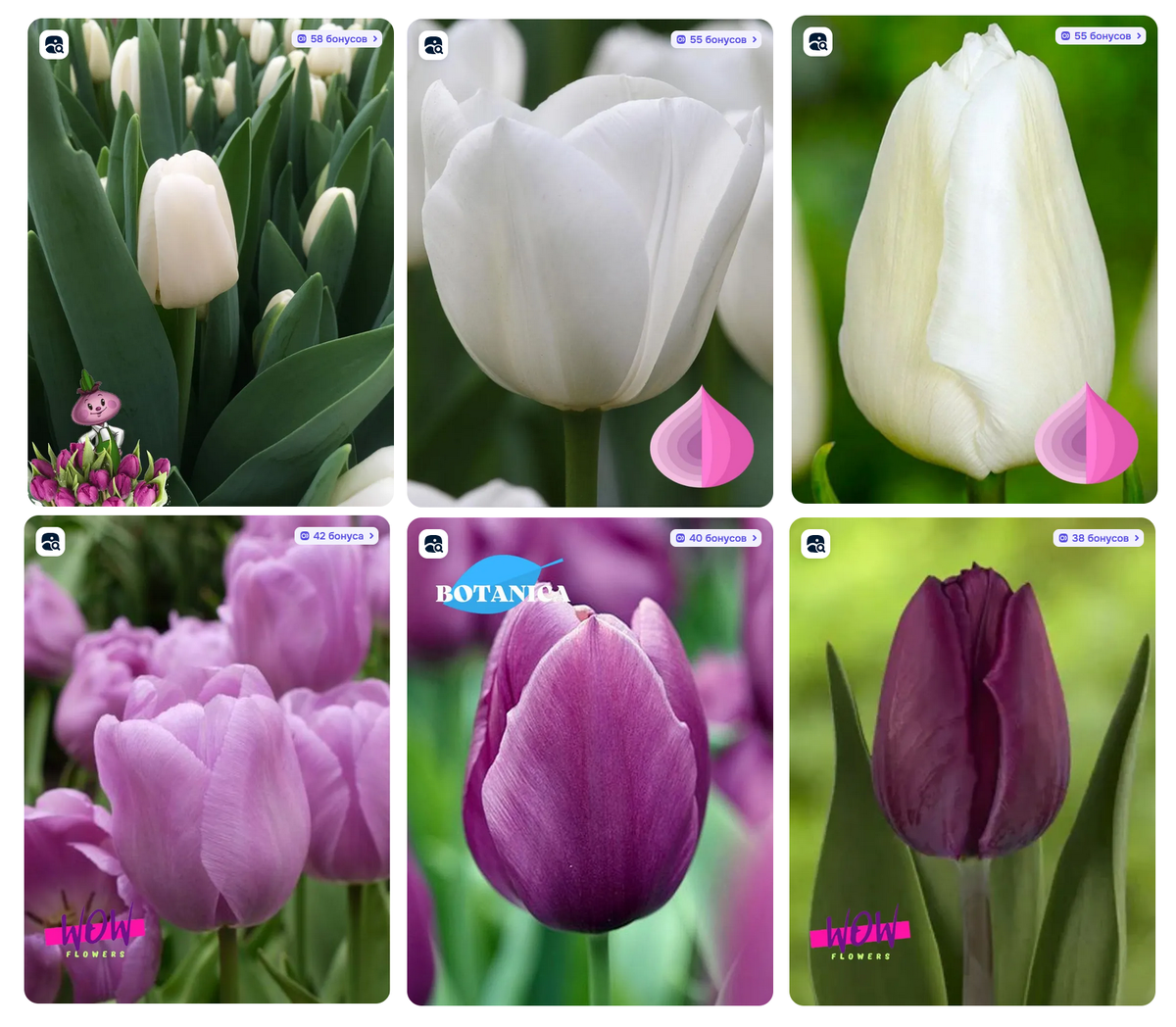 Коллаж из картинок с маркетплейса