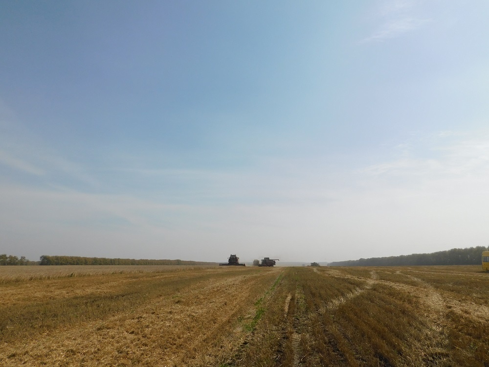    Фотография Анны Зубаревой