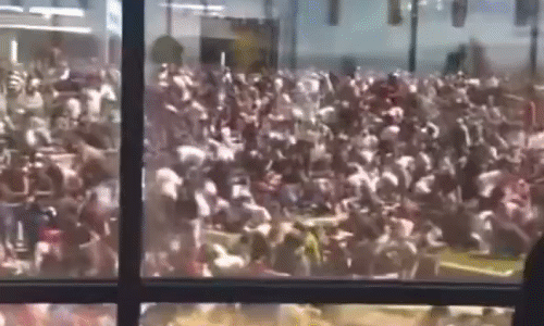 "Случайно" снятое видео🤔😎