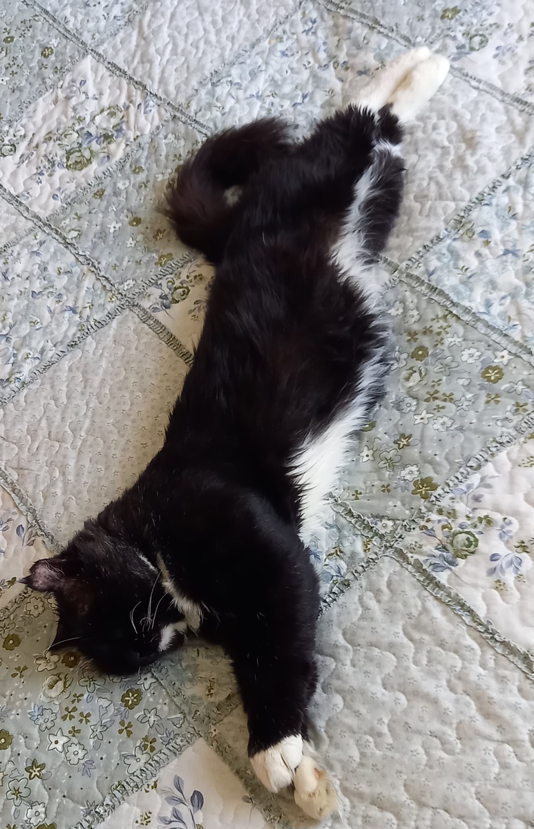 Фото автора