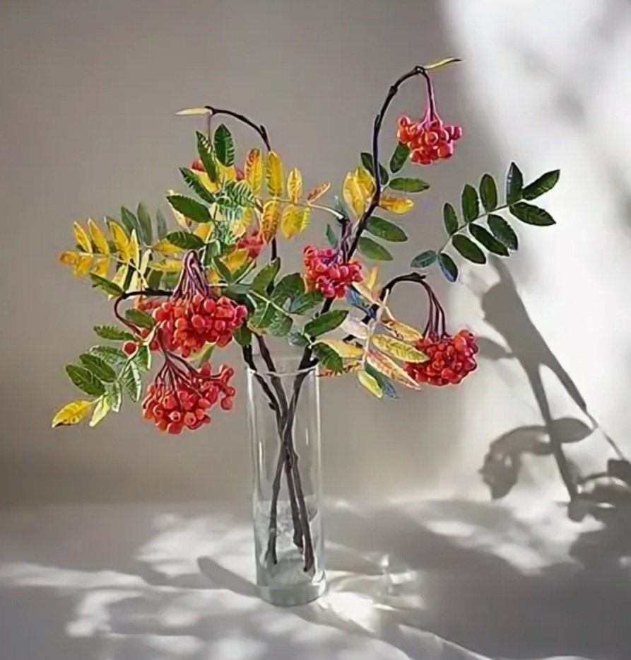 Фото из интернета