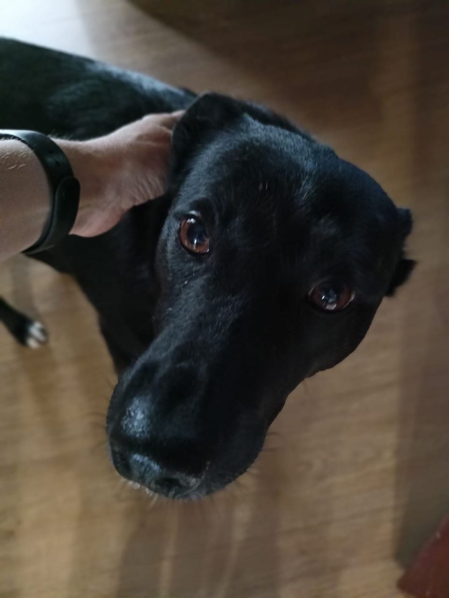 Неужели я всё-таки этого дождалась?