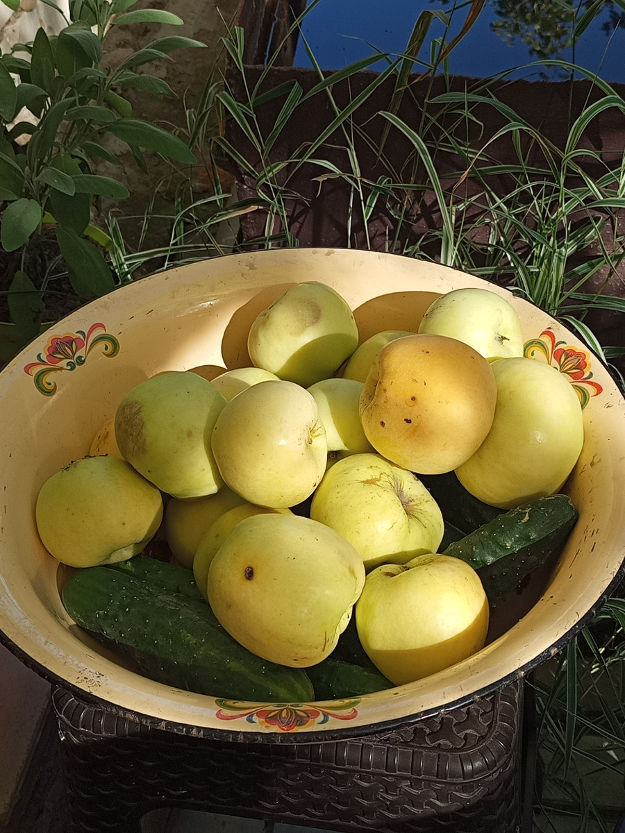 Мои красивые