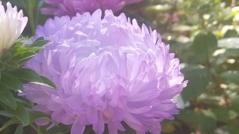 Доброе утро, мои дорогие! 😘 Отличного дня