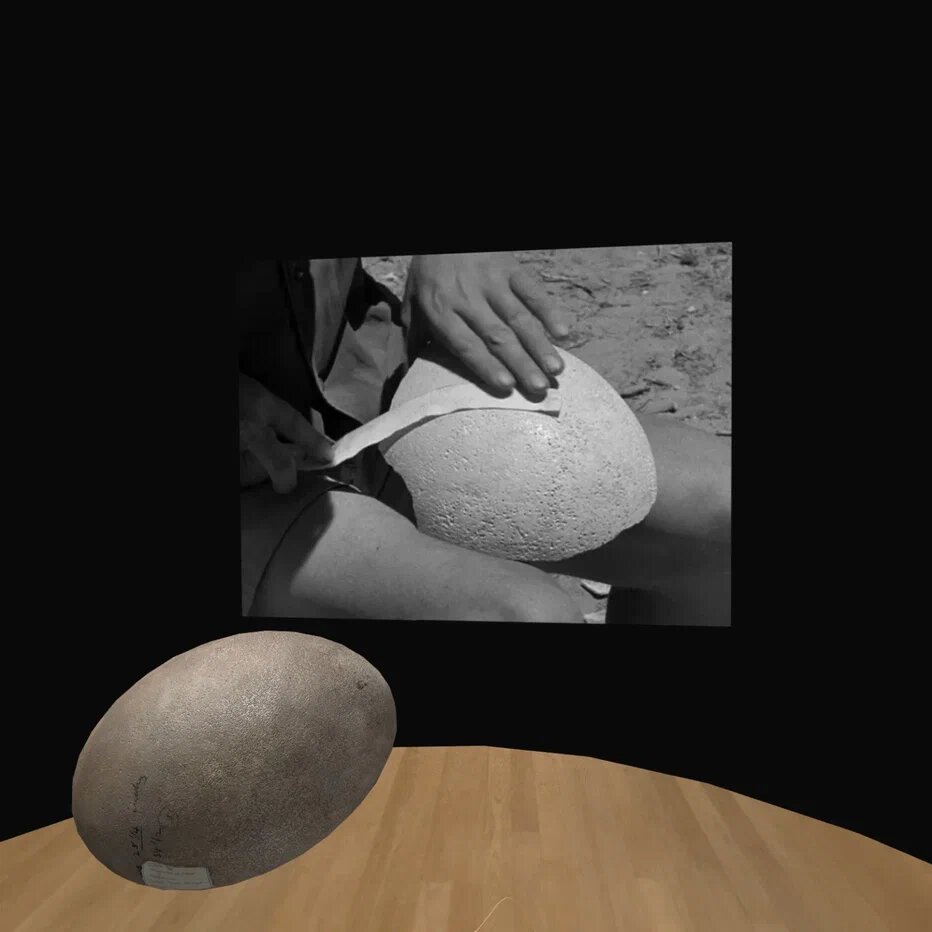 При выборе экспоната появляется подробная информация о нем в формате фото или видео.