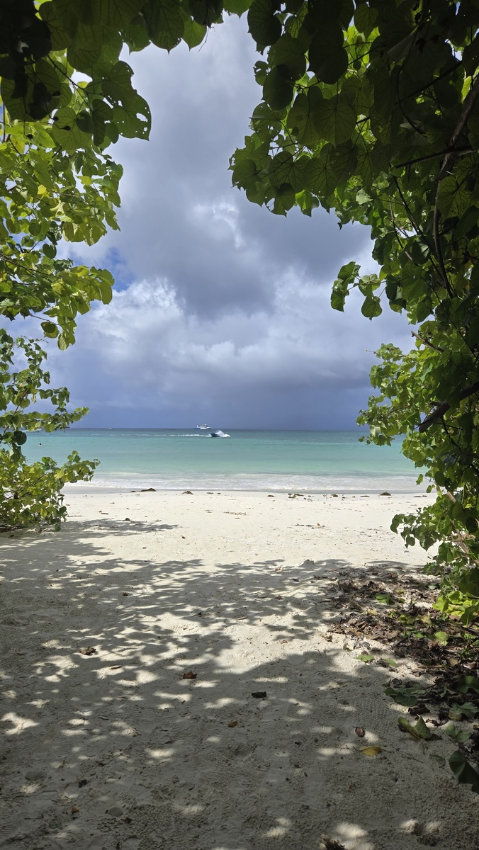 Удивительные Сейшелы 