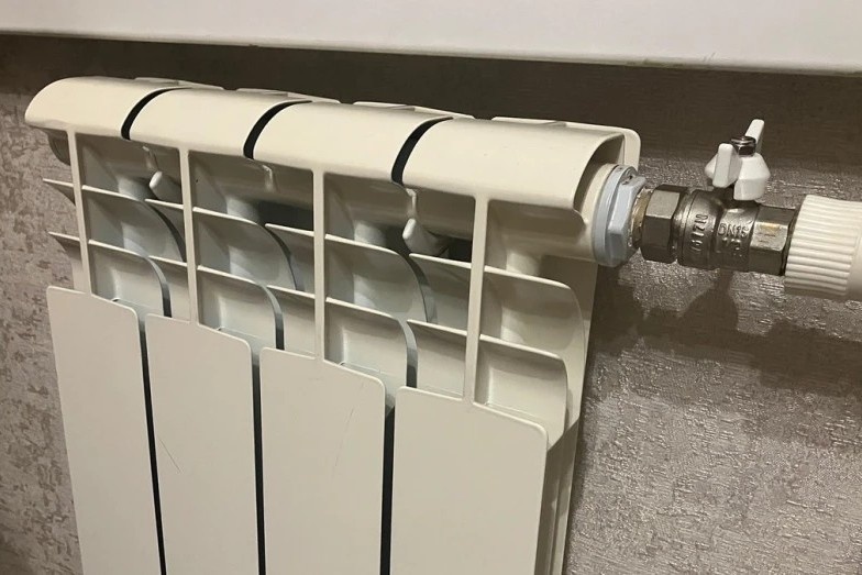    Фото: riavrn.ru; источник: АУ Воронежской области «Региональное информационное агентство «Воронеж»