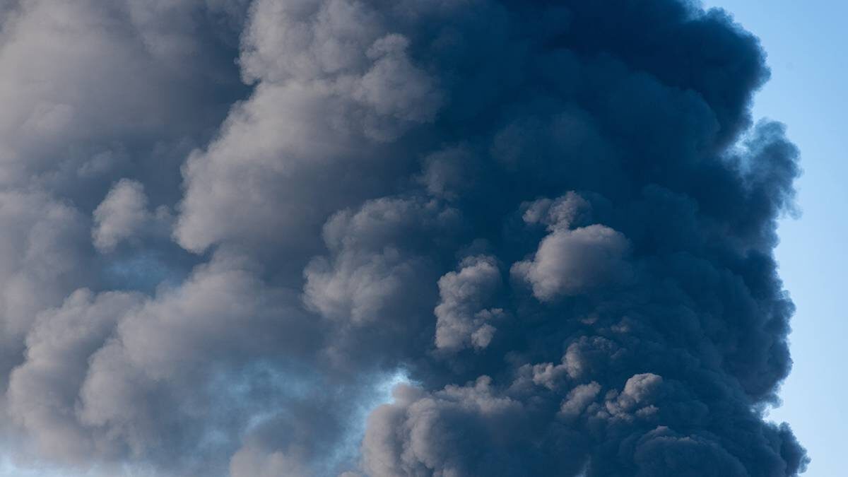    Фото: Shutterstock