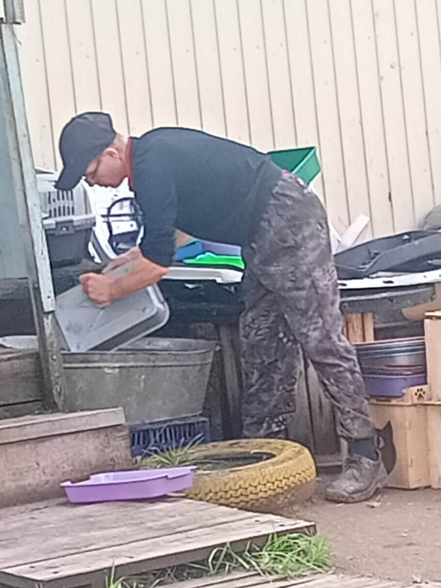 Макс моет лотки из Кошачьего Царства