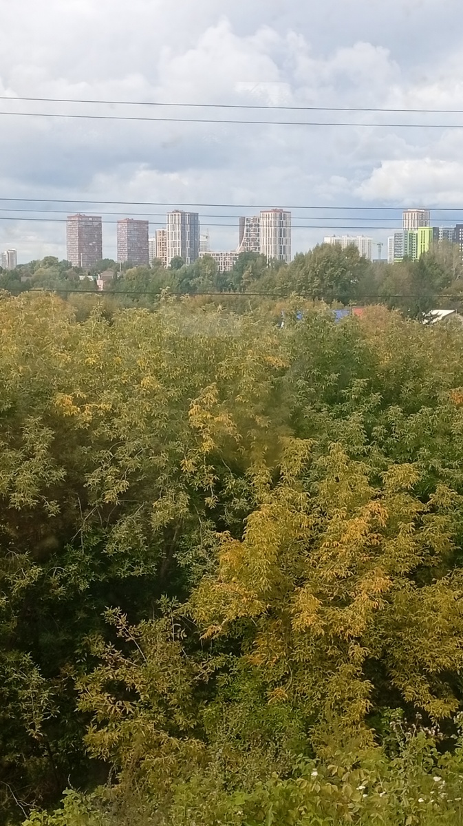 В дебрях Дзена сориентироваться можно, но они постоянно обновляются чтобы блогеры не расслаблялись , а писали лучше , чаще и больше, а не тратили время на разгадку алгоритмов которые настроены прежде всего на экономное расходование средств и прибыль для платформы, а не на повышение уровня жизни блогеров.