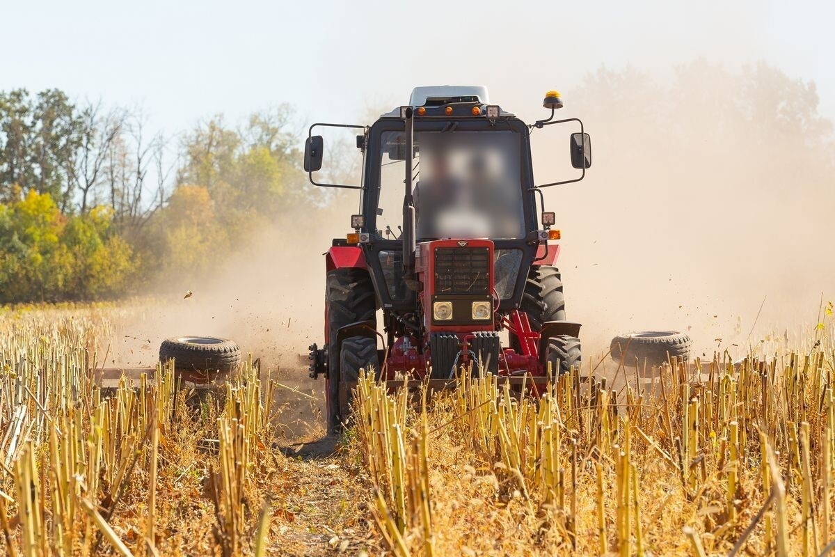    Фото: voronezhnewsru