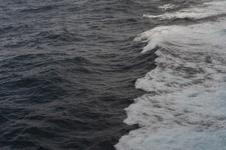    Фото: ru.freepik.com